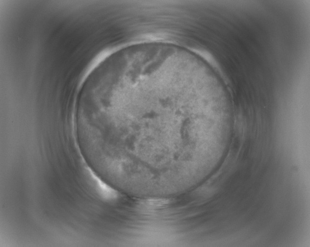 X0000081601294200701291351