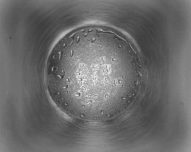 X0000081601295200701291351