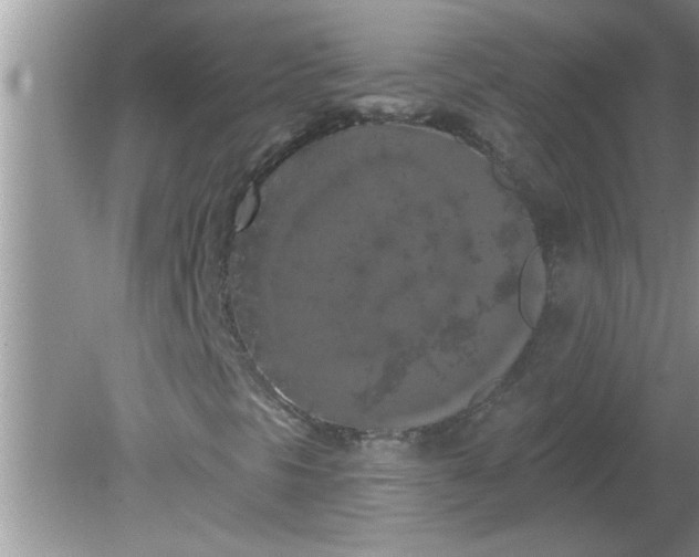 X0000081601297200701291351