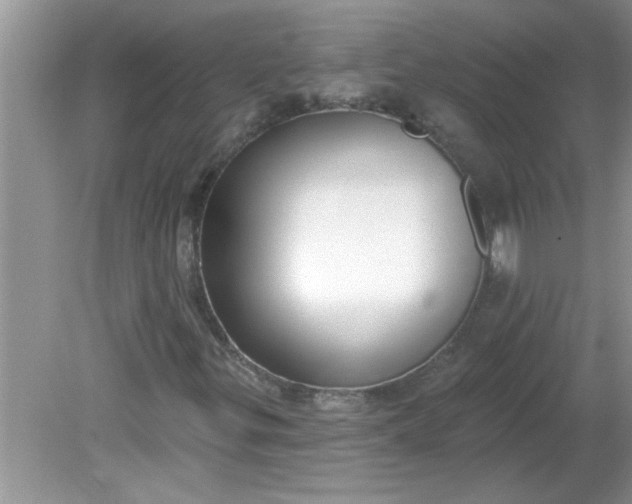 X0000081601299200701291351