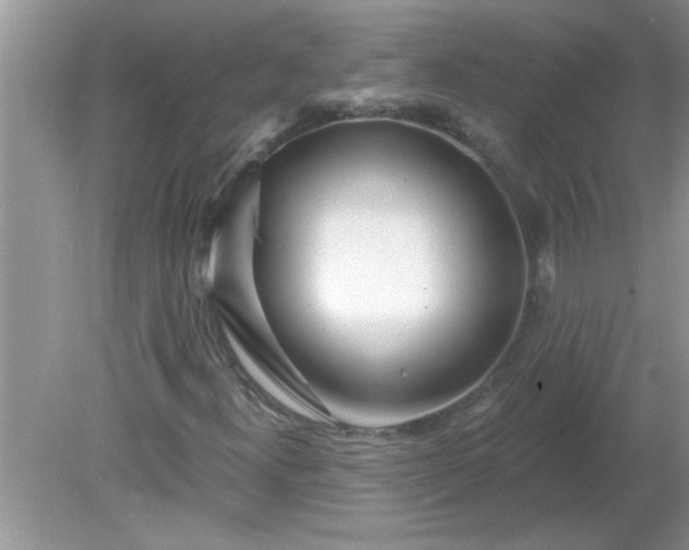 X0000081601300200701291351