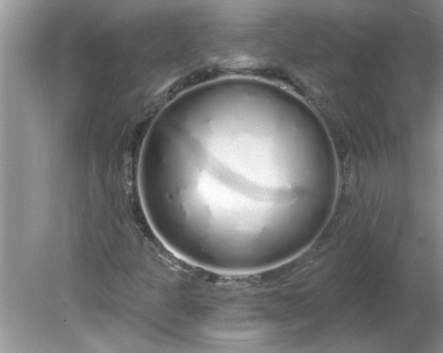 X0000081601301200701291351