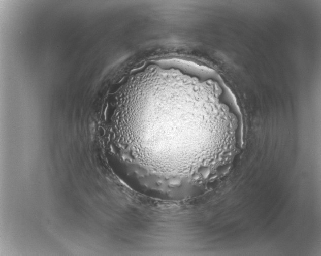 X0000081601302200701291351