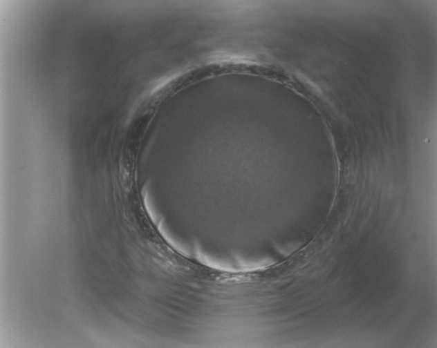 X0000081601303200701291351