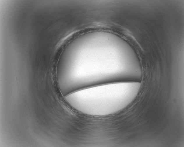 X0000081601304200701291351