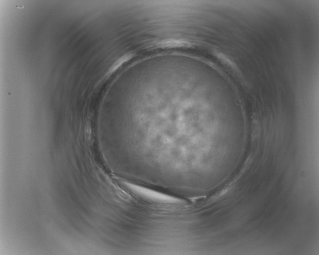 X0000081601305200701291351