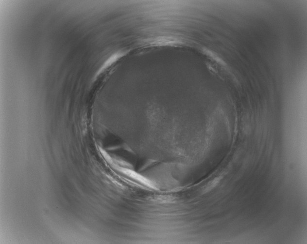 X0000081601306200701291351