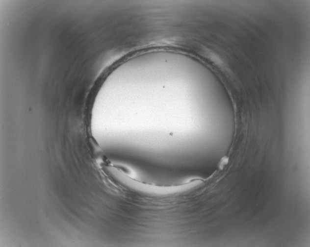 X0000081601308200701291351