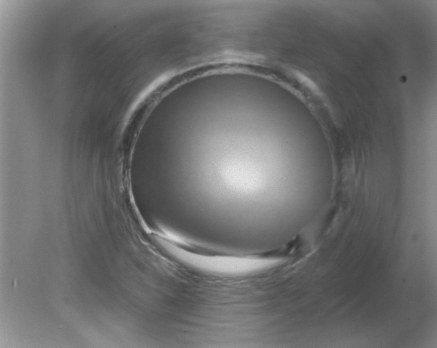 X0000081601310200701291351