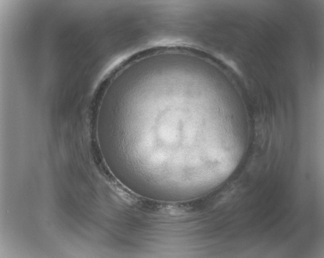 X0000081601311200701291351