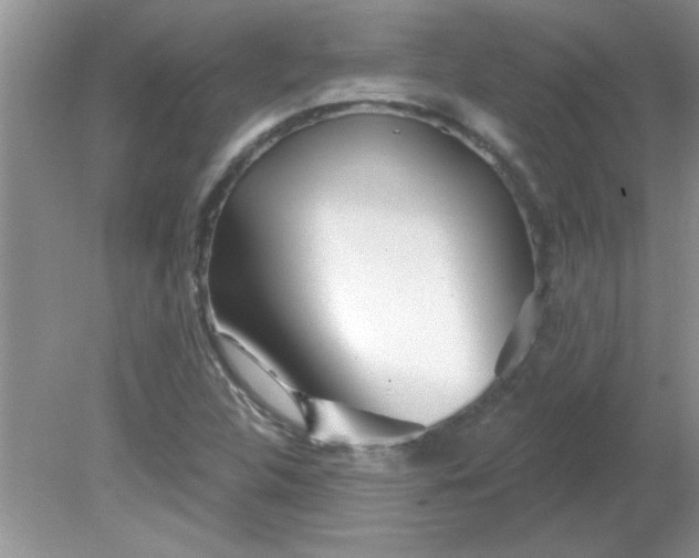 X0000081601312200701291351