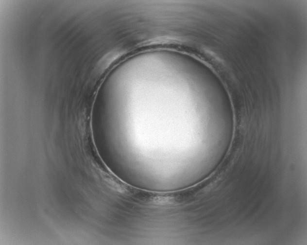 X0000081601313200701291351