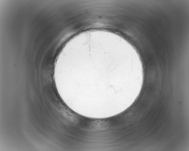 X0000081601314200701291351