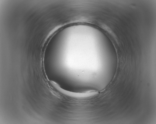 X0000081601316200701291351