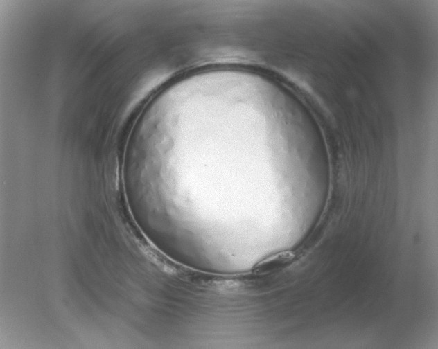 X0000081601317200701291351