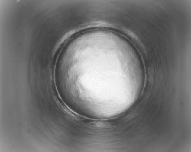 X0000081601318200701291351