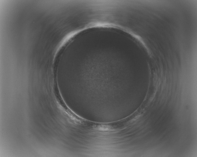 X0000081601319200701291351