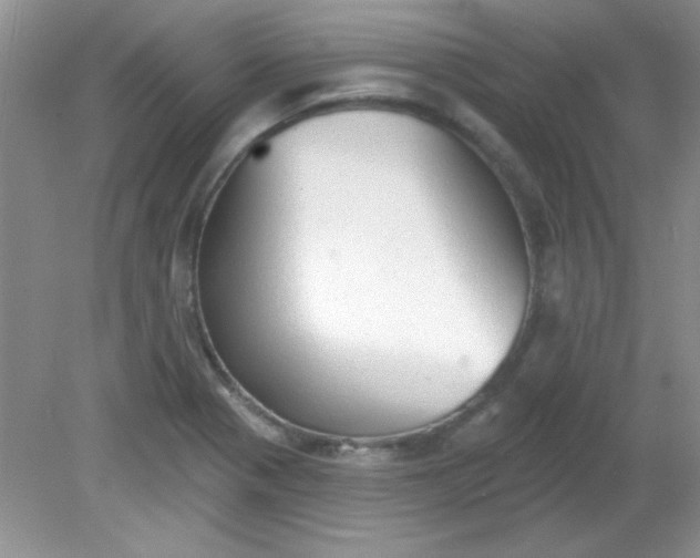 X0000081601321200701291351