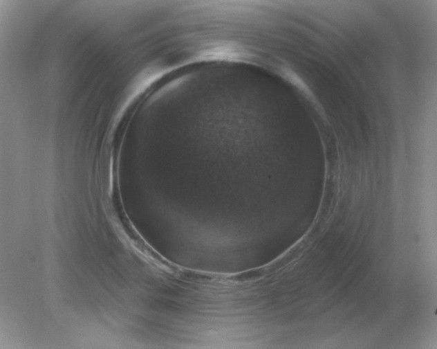 X0000081601323200701291351