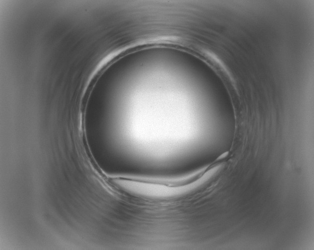 X0000081601324200701291351