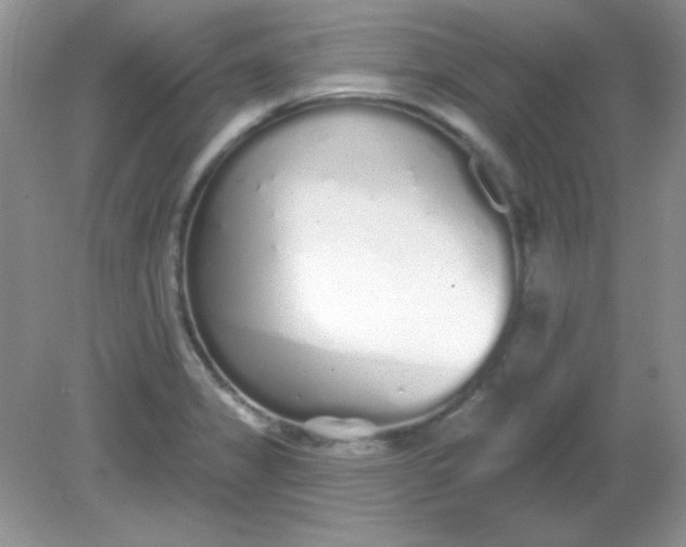 X0000081601325200701291351