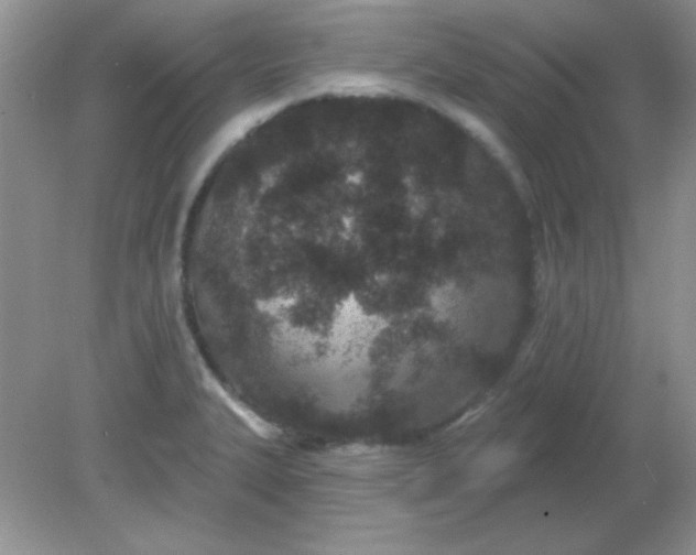 X0000081601327200701291351