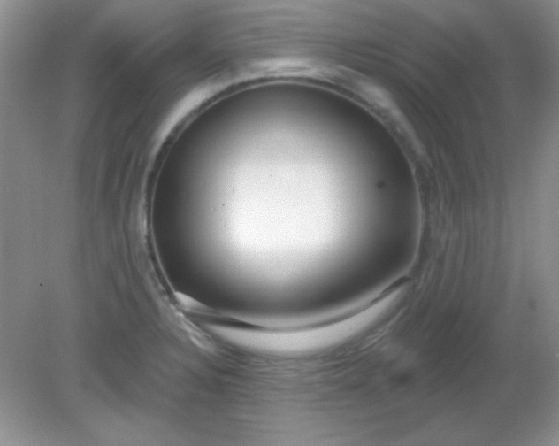 X0000081601328200701291351