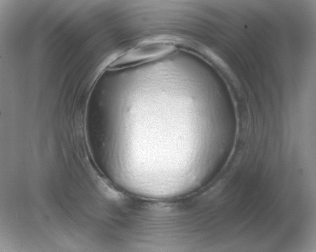 X0000081601329200701291351