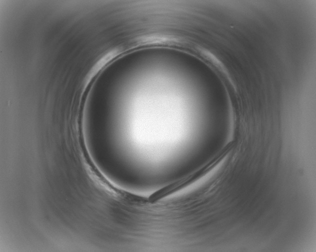 X0000081601330200701291351