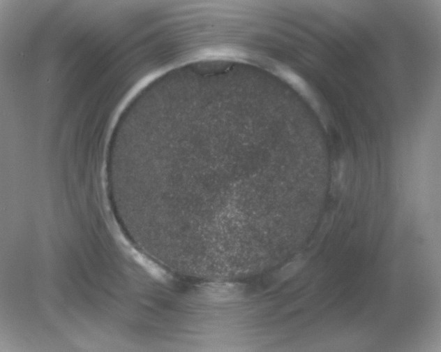 X0000081601331200701291351