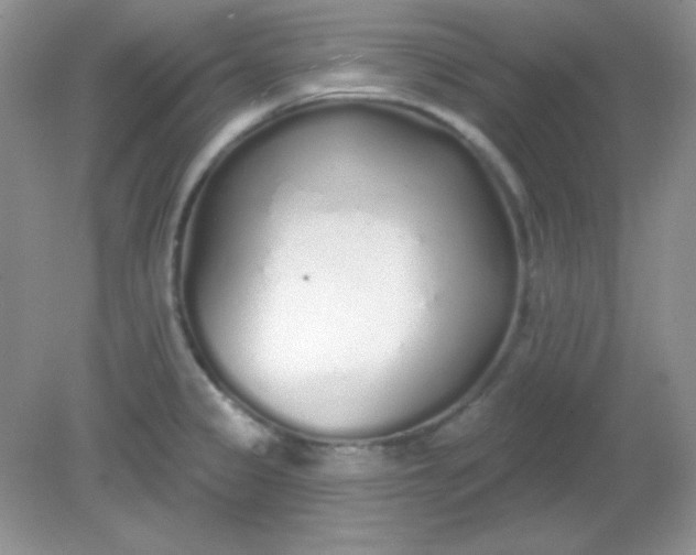 X0000081601333200701291351