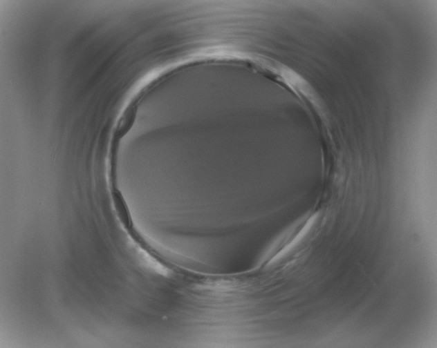 X0000081601334200701291351