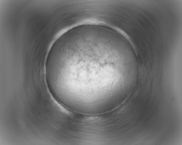 X0000081601335200701291351