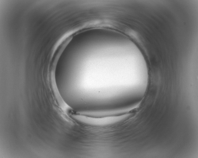 X0000081601336200701291351