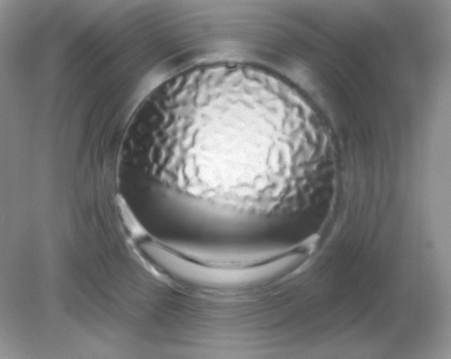 X0000081601337200701291351