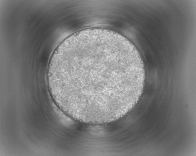 X0000081601338200701291351