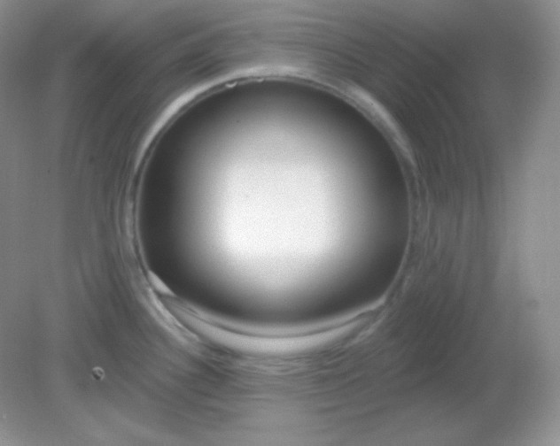 X0000081601340200701291351