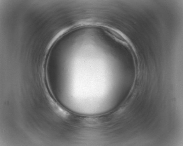 X0000081601341200701291351