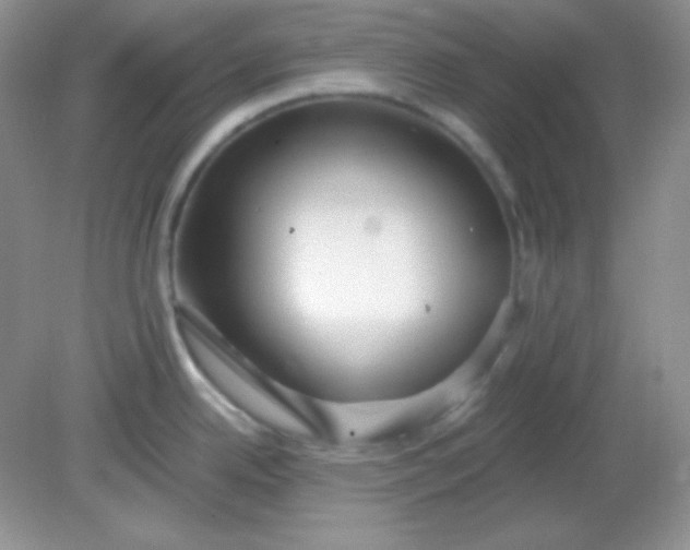 X0000081601342200701291351