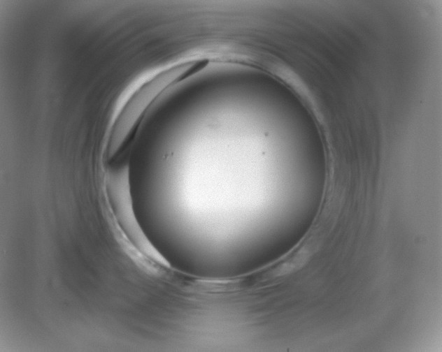 X0000081601344200701291351