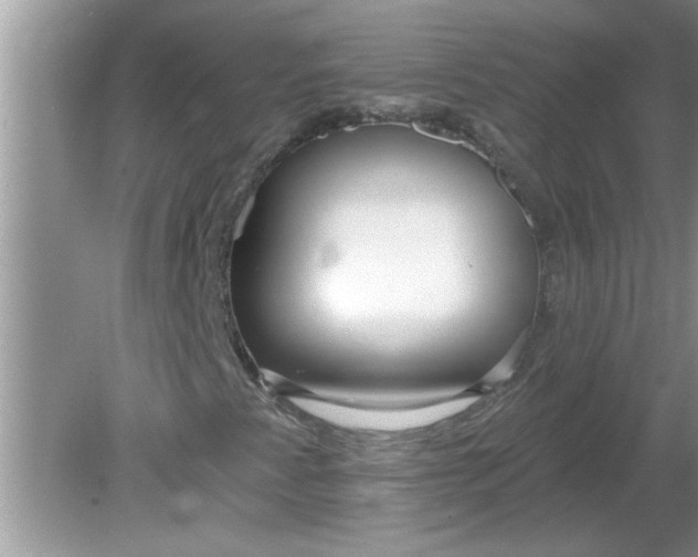 X0000081601345200701291351