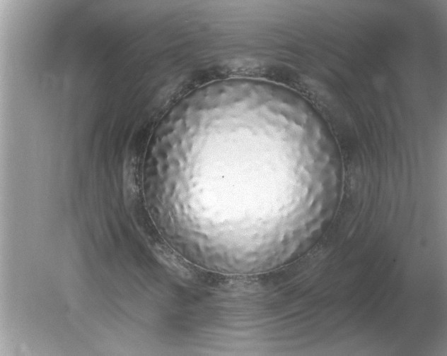 X0000081601346200701291351