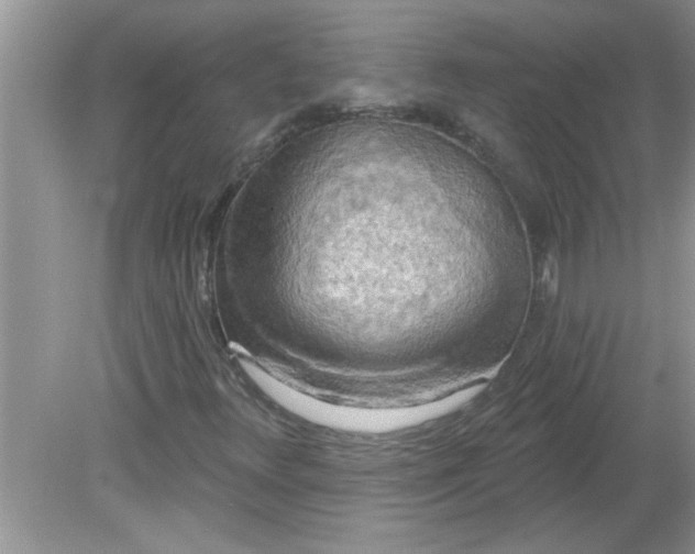 X0000081601348200701291351