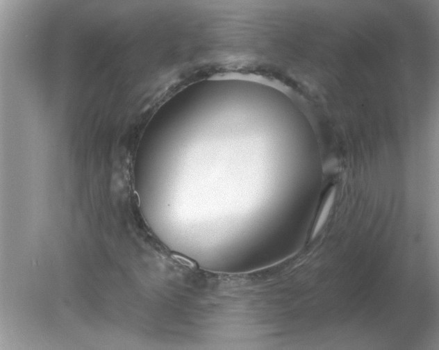 X0000081601349200701291351