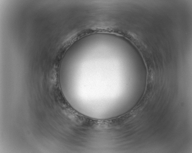 X0000081601350200701291350