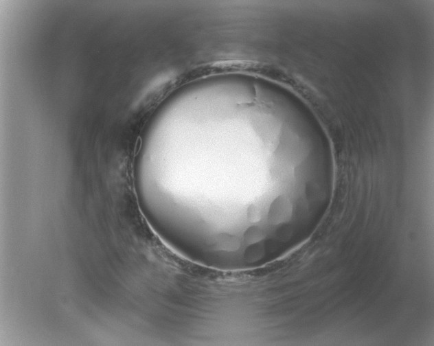 X0000081601351200701291350