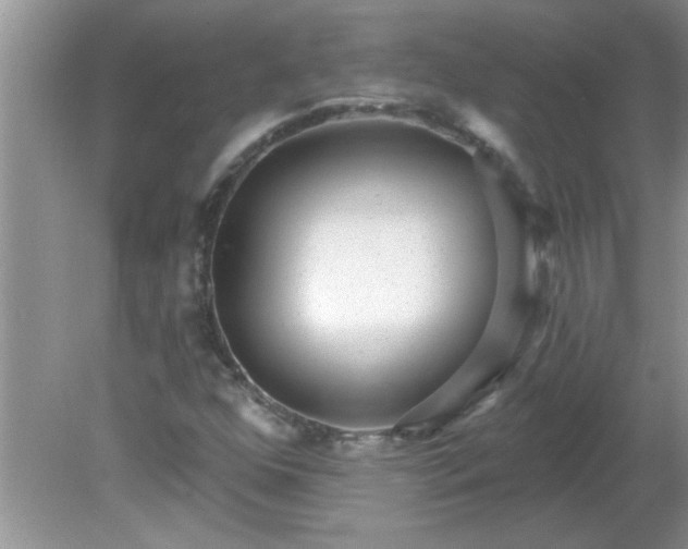 X0000081601352200701291350