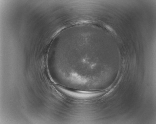 X0000081601353200701291350