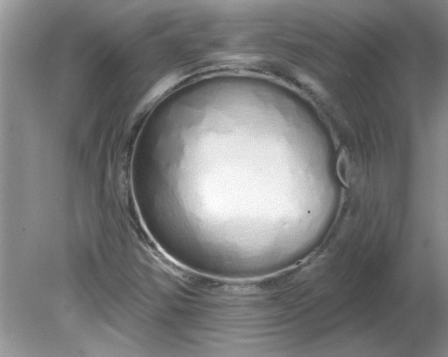 X0000081601354200701291350