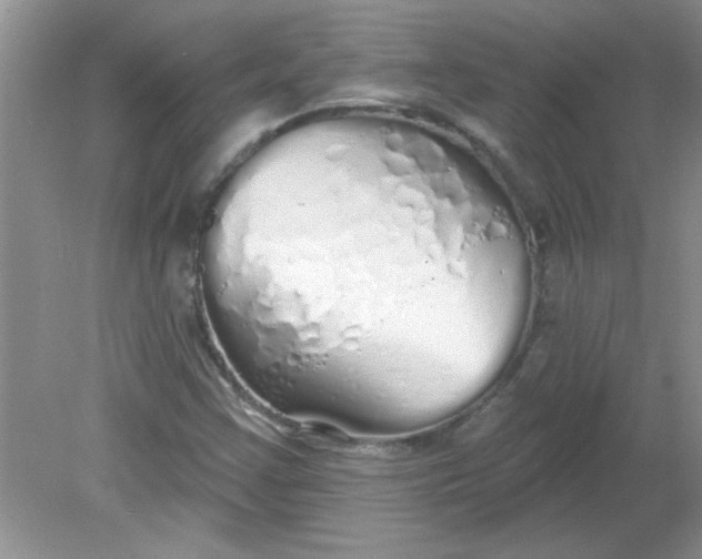 X0000081601355200701291350